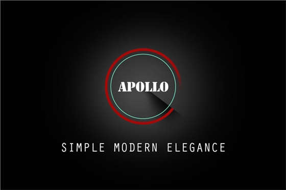 上海办公家具&mdash;&mdash;Apollo系列人体工学椅02.jpg