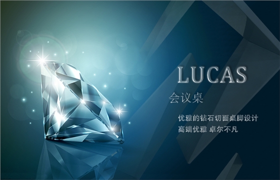 上海办公家具&mdash;&mdash;LUCAS会议桌02.jpg